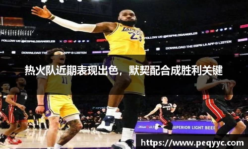 热火队近期表现出色，默契配合成胜利关键