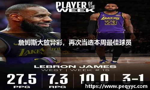 南宫28官网