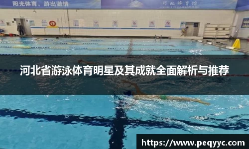 河北省游泳体育明星及其成就全面解析与推荐