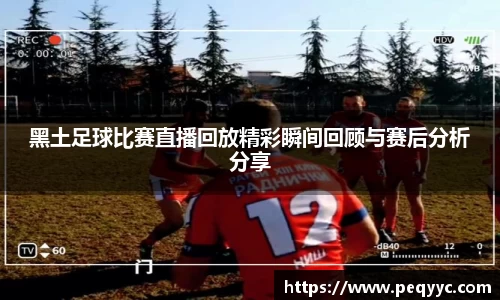 黑土足球比赛直播回放精彩瞬间回顾与赛后分析分享