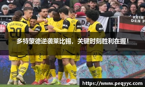 多特蒙德逆袭莱比锡，关键时刻胜利在握！