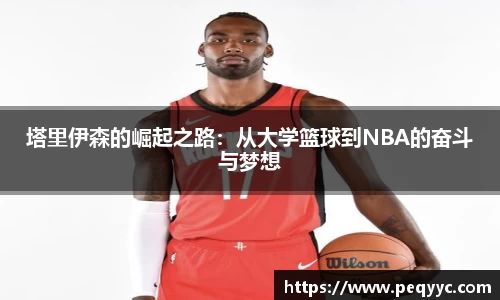 南宫28官网