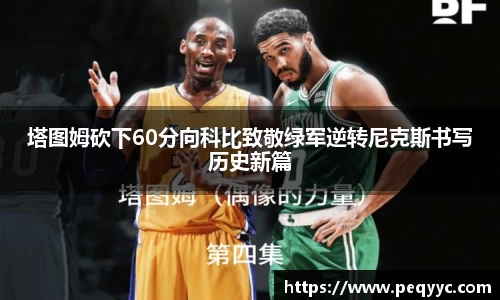 南宫28登录入口