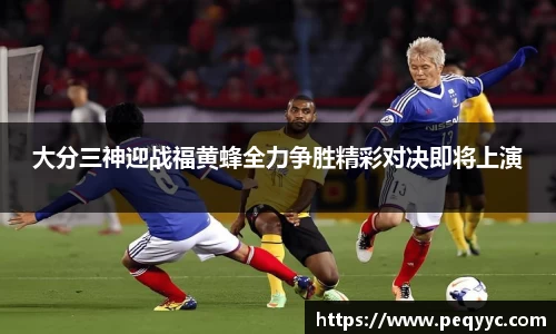 ng28南宫娱乐官网